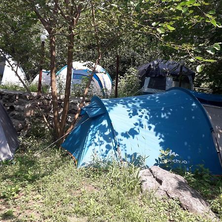 Hotel Kamp Seosko Domacinstvo Radman Herceg Novi Esterno foto
