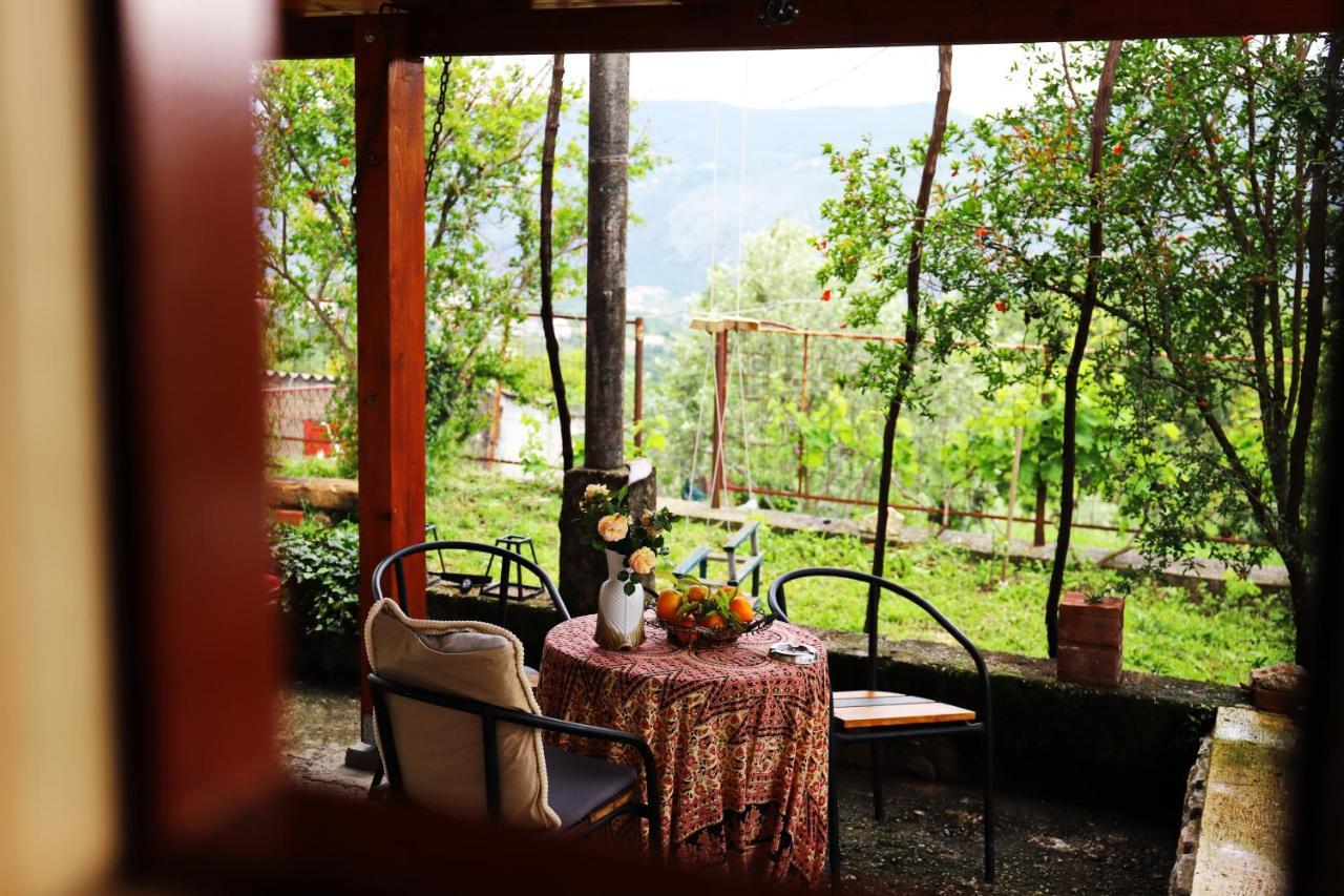 Hotel Kamp Seosko Domacinstvo Radman Herceg Novi Esterno foto