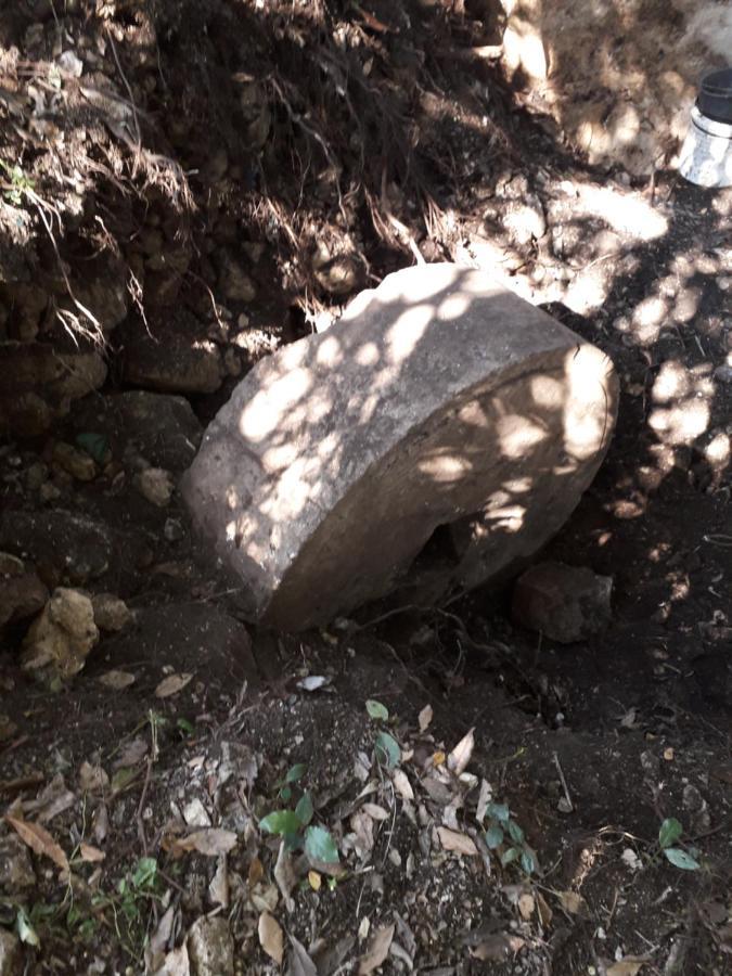 Hotel Kamp Seosko Domacinstvo Radman Herceg Novi Esterno foto