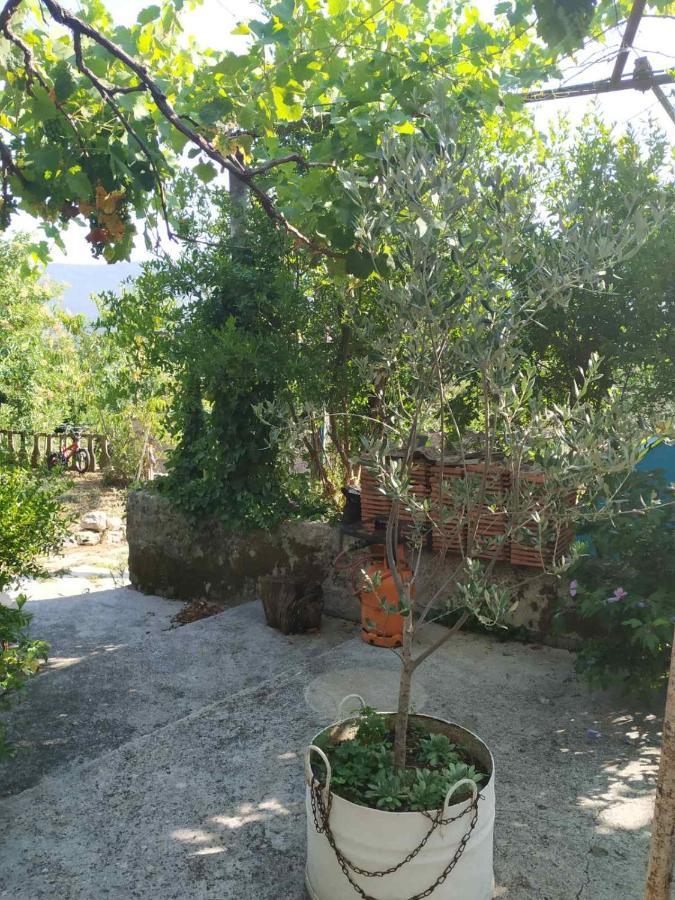 Hotel Kamp Seosko Domacinstvo Radman Herceg Novi Esterno foto