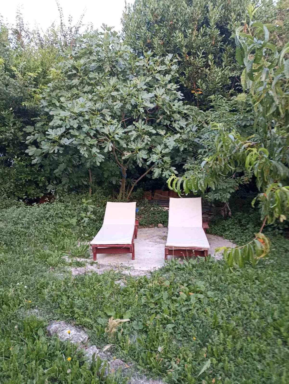 Hotel Kamp Seosko Domacinstvo Radman Herceg Novi Esterno foto