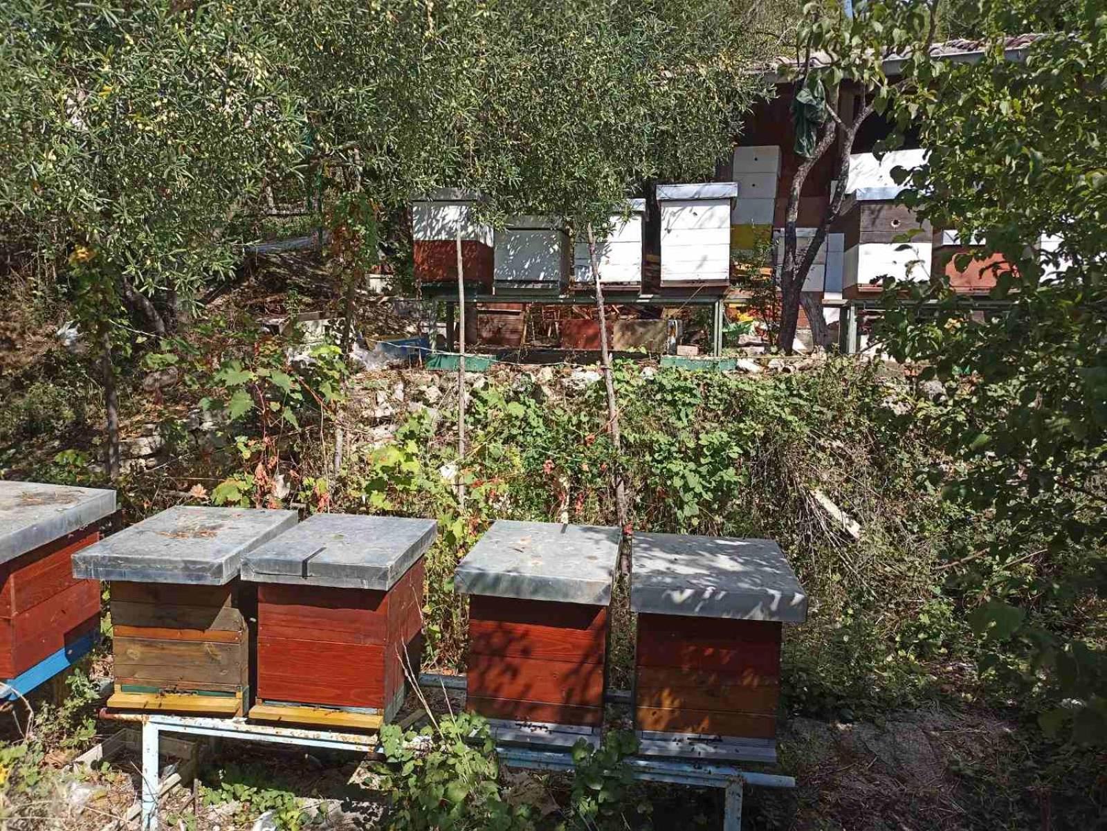 Hotel Kamp Seosko Domacinstvo Radman Herceg Novi Esterno foto